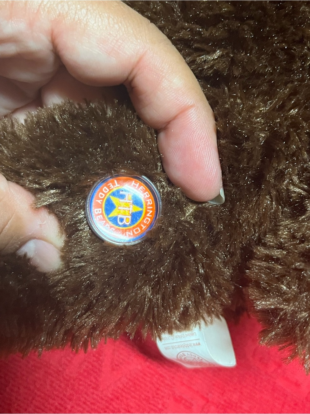 2008 30th Anniversary Cheesecake Factory Teddy Bear special edition - Picture 10 of 10
